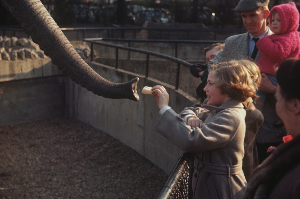 Family Friendly Things to Do in Michigan