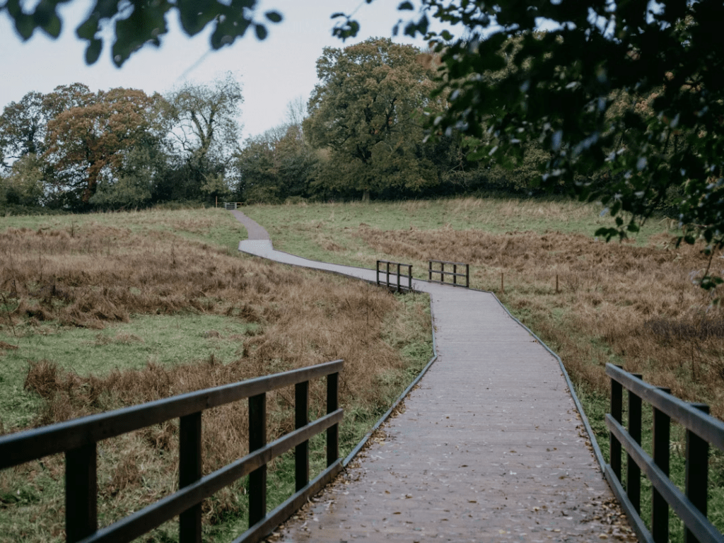 Top Michigan Cities for Outdoor Trails